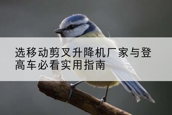 桃城电动升降机厂家-选移动剪叉升降机厂家与登高车必看实用指南