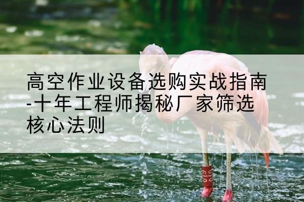 桃城剪叉式升降机厂家-高空作业设备选购实战指南-十年工程师揭秘厂家筛选核心法则