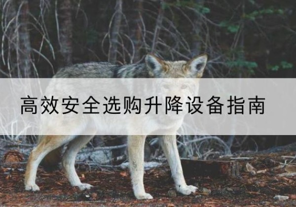 桃城升降货梯厂家推荐-*安全选购升降设备指南