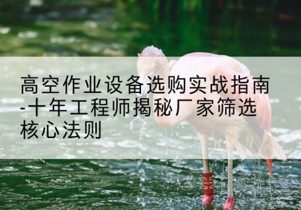 桃城剪叉式升降机厂家-高空作业设备选购实战指南-十年工程师揭秘厂家筛选核心法则