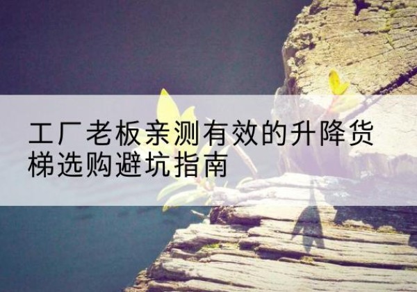 桃城升降货梯怎么选-工厂老板亲测有效的升降货梯选购避坑指南